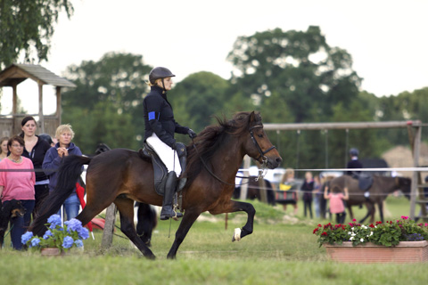 Turnierbild Tölt, Lotushof Brandenburg